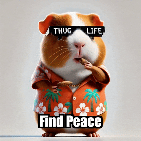 Find Peace Savor GIF by Guinea Gambino