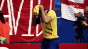 World Cup Soccer GIF by FIFA