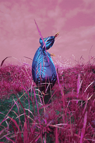 Believe It Vector Meldrew GIF by DAZZLE SHIP