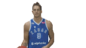 Basketball Player Sticker by KK Zadar