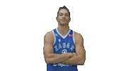 Basketball Player Sticker by KK Zadar