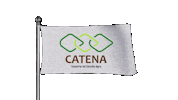 Catenalogo Sticker by Rede Catena