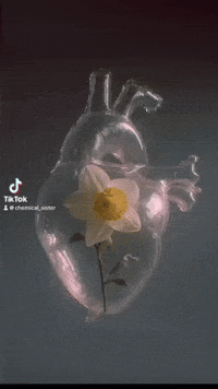 Love Bomb Flower GIF by Chemical Sister