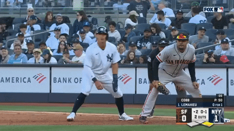 estee42 giphyupload GIF