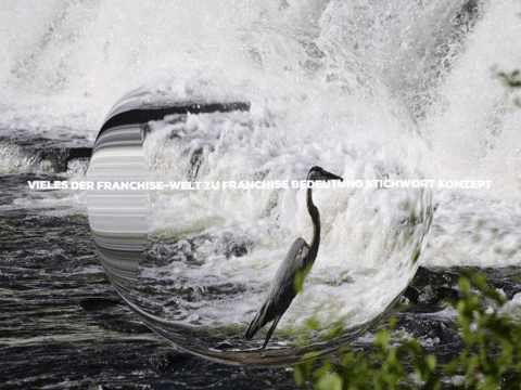 Fun Party GIF by FranchiseONE.de