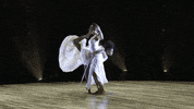 fox dancing GIF by So You Think You Can Dance