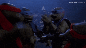 High Five Martial Arts GIF by Arrow Video