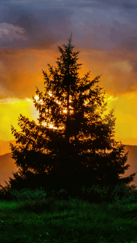 woodenboxlwp giphyupload best sunset wallpaper ever epic sunset wallpaper sunset wallpaper for mobile GIF