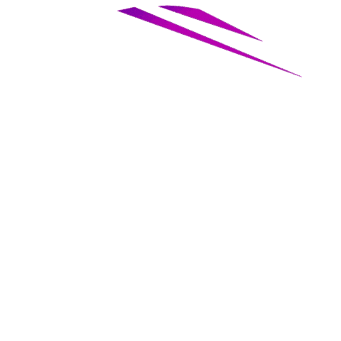 TeamToraTora giphyupload toratora teamtoratora tora tora Sticker