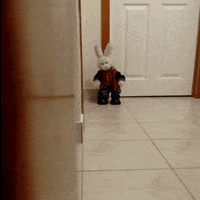 bunny sneaking GIF by Zackary Rabbit