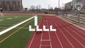 Arc Olympian GIF by All-Round Champion