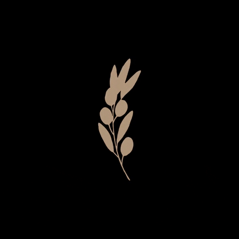 mizoeatery giphyupload food restaurants riyadh GIF