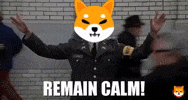 Shib Coin GIF by SHIB MEMES