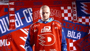 Hockeytown GIF by HC Dynamo Pardubice