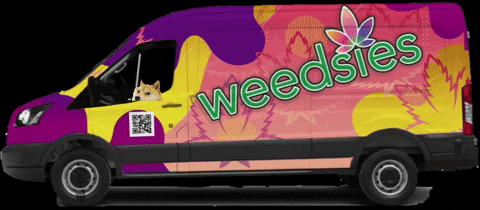 Weedsies giphyattribution mobile dog car GIF