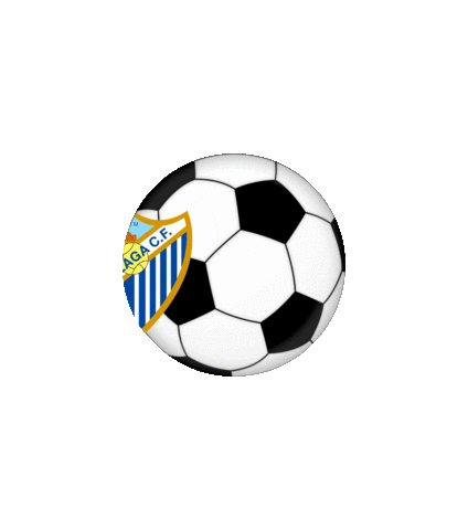 football futbol Sticker