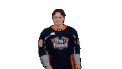 Game Day Win Sticker by Flint Firebirds