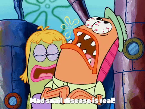 new leaf episode 13 GIF by SpongeBob SquarePants