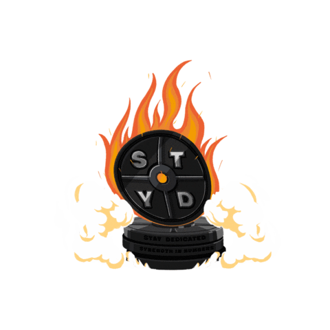 Fire Gym Sticker by Stay Dedicated