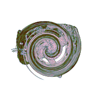 art cat Sticker by N3t4