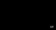 Bob Fosse GIF by TIFF