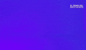 Eltiempodeldescuento GIF by Mediaset España