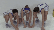 GIF by CUWFalcons