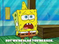 season 5 GIF by SpongeBob SquarePants