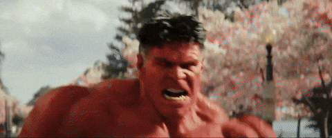 d4b123123r32513244 giphyupload GIF