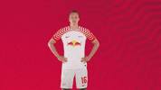 Football No GIF by RB Leipzig