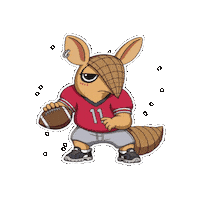 American Football Sticker by Chillo Dillo