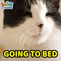 Good Night Sleeping GIF by Lucas and Friends by RV AppStudios