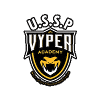 Ussp Vyper Sticker by Diaza Football