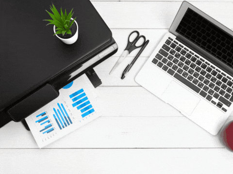 tony-ludlow giphygifmaker giphyattribution tony ludlow GIF