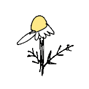 花 Sticker