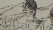 Competition Working Hard GIF by CBS
