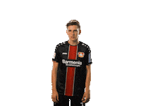 soccer bundesliga Sticker by Bayer 04 Leverkusen