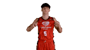 Liga Endesa Basketball Sticker by ACB