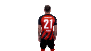 Serious Lucas Alario Sticker by Eintracht Frankfurt