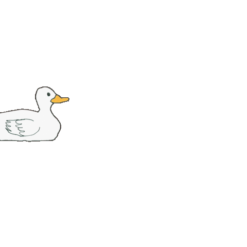 I Choose You Duck Sticker by Big Beat Records