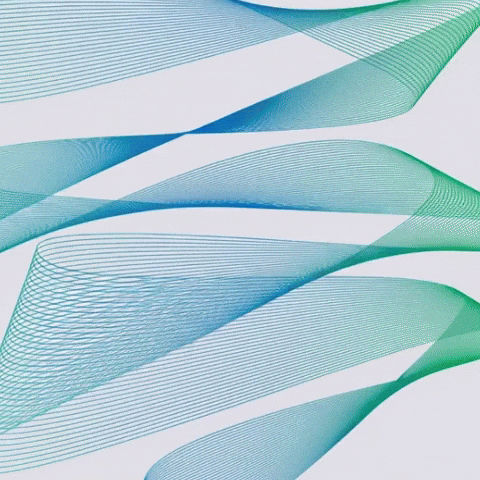GIF by notgpt