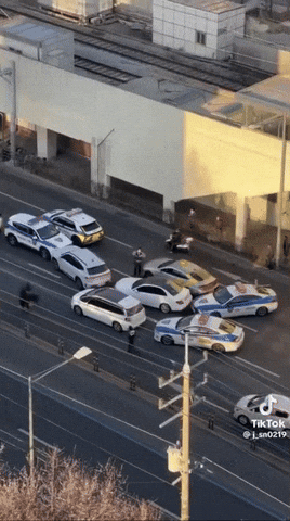 yj_jane giphyupload GIF