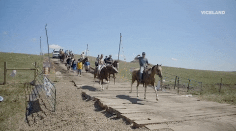 standing rock GIF by RISE