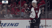 Celebrate Ice Hockey GIF by NHL