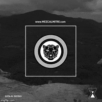 mezcalmitre mexico mezcal oaxaca mitre GIF