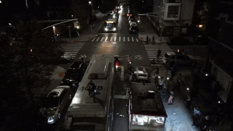 New York Brooklyn GIF by dupreegod