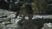 Loop Stay Down GIF by Xbox