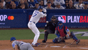 Chicago Cubs Baseball GIF