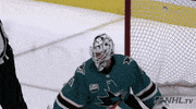 ice hockey GIF by NHL