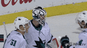 Ice Hockey Sport GIF by NHL